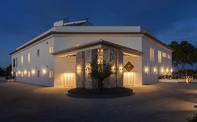 Dionis Boutique Hotel & Spa